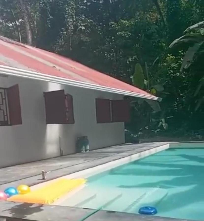 Bolita Rainforest Hostel&Cabinas Dos Brazos Exterior foto