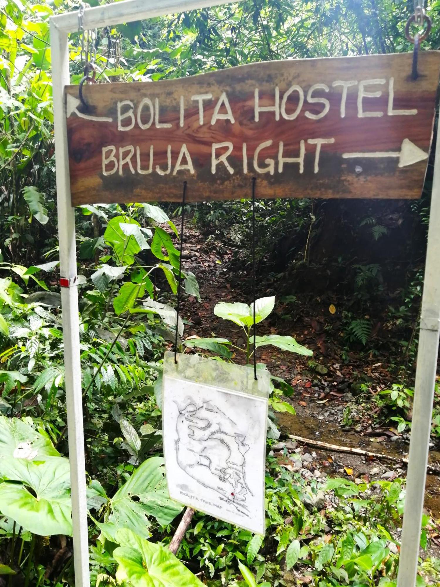 Bolita Rainforest Hostel&Cabinas Dos Brazos Exterior foto