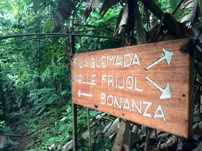 Bolita Rainforest Hostel&Cabinas Dos Brazos Exterior foto