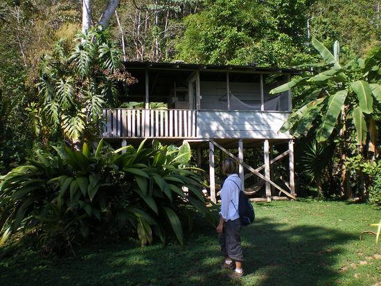 Bolita Rainforest Hostel&Cabinas Dos Brazos Exterior foto
