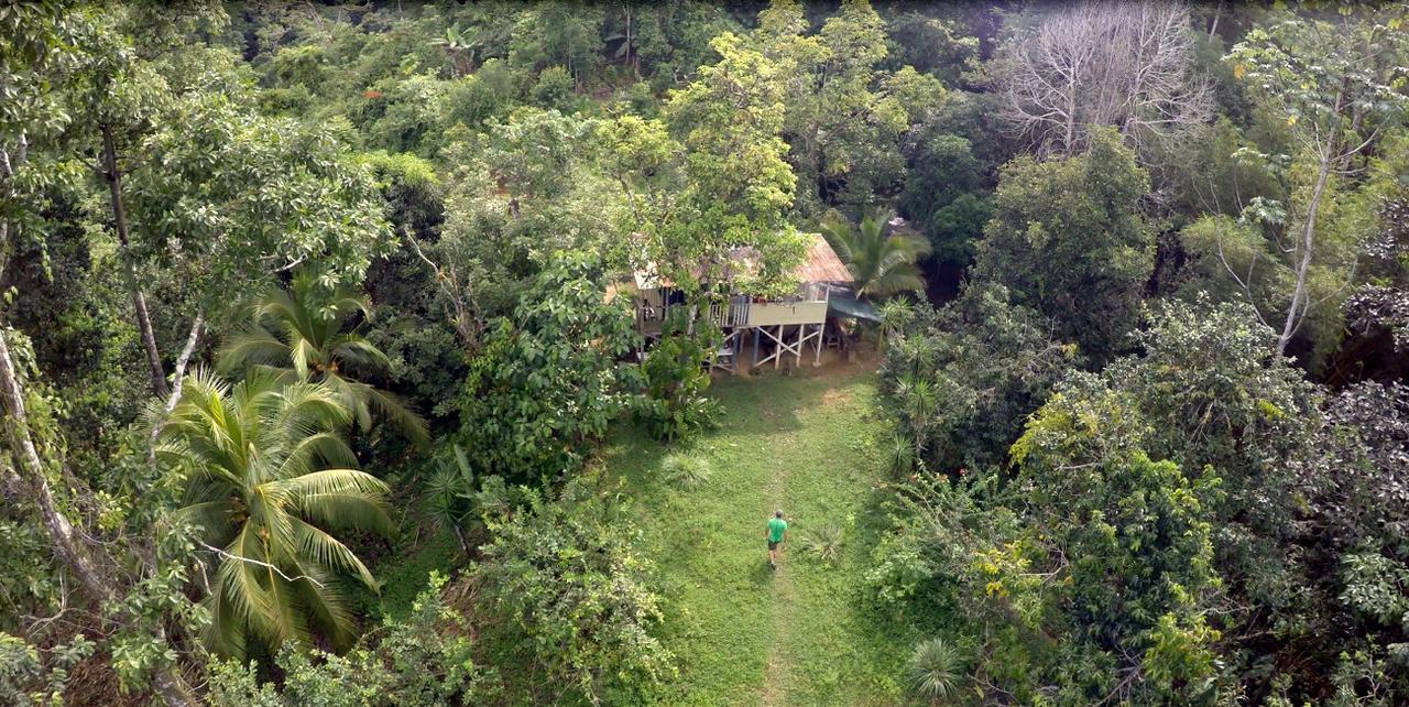Bolita Rainforest Hostel&Cabinas Dos Brazos Exterior foto
