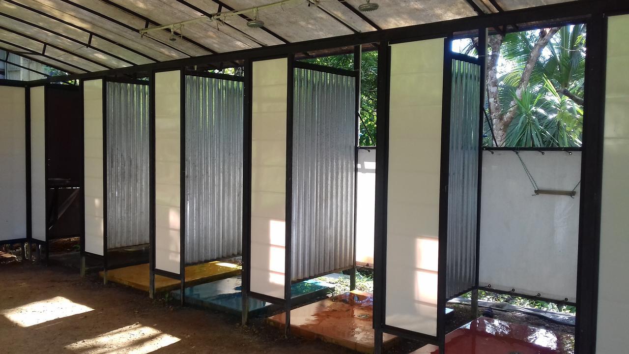 Bolita Rainforest Hostel&Cabinas Dos Brazos Exterior foto