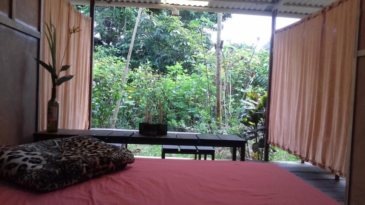 Bolita Rainforest Hostel&Cabinas Dos Brazos Exterior foto