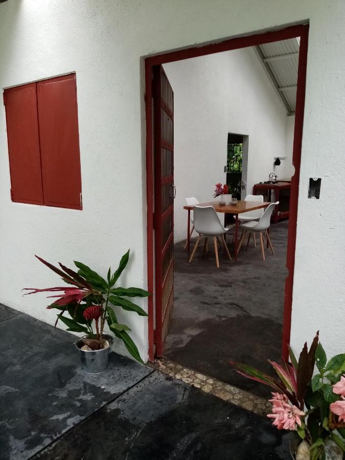 Bolita Rainforest Hostel&Cabinas Dos Brazos Exterior foto