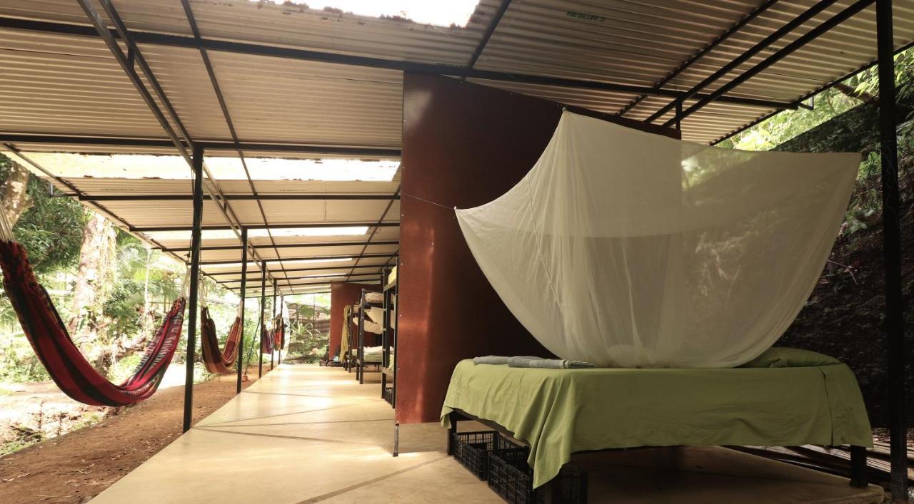 Bolita Rainforest Hostel&Cabinas Dos Brazos Exterior foto