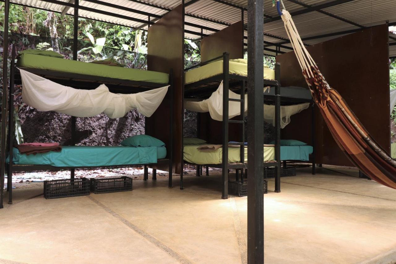 Bolita Rainforest Hostel&Cabinas Dos Brazos Exterior foto